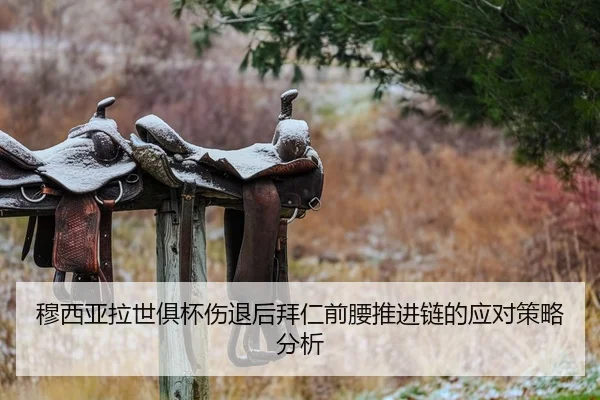 mu-xi-ya-la-shi-ju-bei-shang-tui-hou-bai-ren-qian-yao-tui-jin-lian-de-ying-dui-ce-lve-fen-xi-2-999.jpg