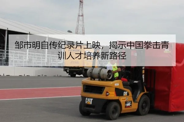 邹市明自传纪录片上映，揭示中国拳击青训人才培养新路径